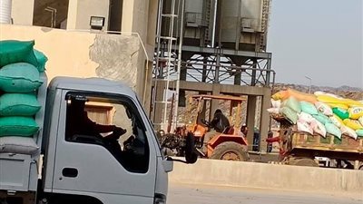 توريد 18 ألف طن قمح للصوامع بكفرالشيخ