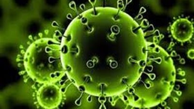 ظهور 13 حالة جديدة مصابة بكورونا في محافظة الوادي الجديد