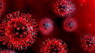 خبر سار.. مصر تدخل مرحلة الثبات فى فيروس كورونا