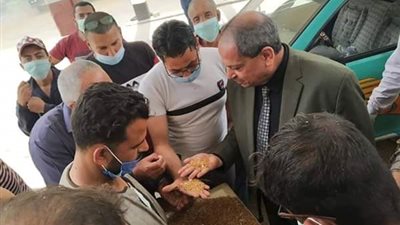 محافظ المنيا: انتظام توريد القمح للصوامع والشون بإجمالي 13518 طنا 