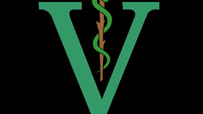 في اليوم العالمي له.. أدوار مهمة للطبيب البيطري غير علاج الحيوانات