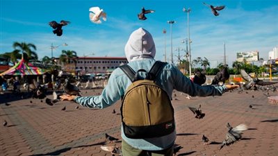 تعرف على موعد عرض برنامج قلبي اطمأن qalby etmaan والقناة الناقلة 