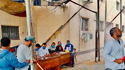 توريد 39024 طن قمح منذ بداية موسم الحصاد بكفرالشيخ (صور)