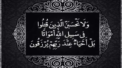 تفسير قوله تعالى: {ولا تحسبن الذين قتلوا في سبيل الله أمواتا بل أحياء عند ربهم يرزقون} الآية 169 من سورة آل عمران