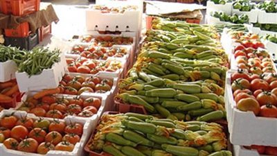 الزراعة: منتجاتنا من الخضراوات والفاكهة إنتاج يومي وأرخص 20%