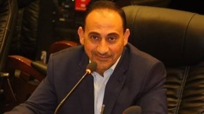 برلماني: أزمة كورونا أظهرت تعاون الوزارات والمجتمع المدني