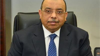 وزير التنمية المحلية: نسعى لزيادة الخدمات المقدمة بصورة رقمية (فيديو)