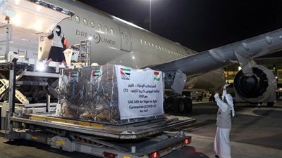 لمكافحة كورونا.. الإمارات ترسل طائرة مساعدات إلى النيجر