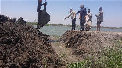 إزالة 4 مزارع سمكية مخالفة على مساحة 32 فدانا في بورسعيد