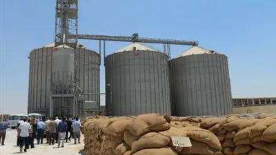 ميناء الإسكندرية: إجمالي مخزون الغلال لدينا 1.2 مليون طن رغم كورونا 