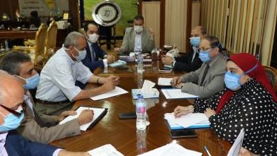 كيف استعدت المنوفية لاستقبال 550 عائدا من الخارج 