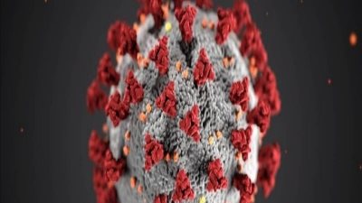 مدير مستشفى الأحرار يزف خبرًا سارًا عن إصابات كورونا