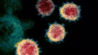 طبيب يكشف مفاجأة عن أثر ارتداء الكمامة على كورونا (فيديو)