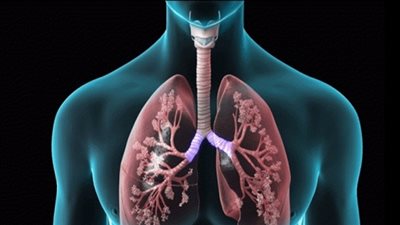 توابل وأعشاب طبيعية تعالج ضيق التنفس الناتج عن الانسداد الرئوي