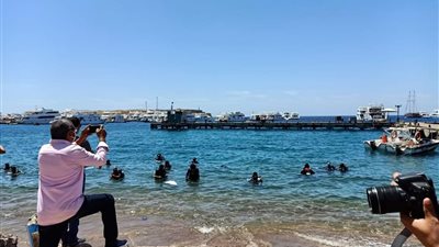 وزيرة البيئة تشيد بوعي ومجهود غطاسي شرم الشيخ في حماية الطبيعة