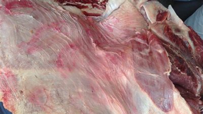 ضبط لحوم فاسدة وأخرى بأختام مزورة في الفيوم (صور)