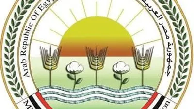 إجراءات استباقية لمنع دخول الجراد الصحراوي الحدود المصرية 