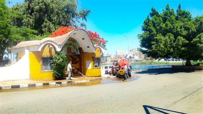 حملات تطهير وتعقيم مكثفة في شوارع المنصورة (صور)
