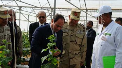 15 ألف فرصة عمل.. نقيب الزراعيين يكشف تفاصيل مشروعات الصوب الزراعية (فيديو)