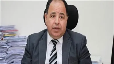 تفاصيل خطة ميكنة منظومة الضرائب بتعليمات السيسي