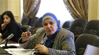 برلمانية: مصر خاضت تجربة تستحق التسجيل تحت حكم السيسي 