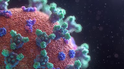 التخطيط: أزمة كورونا عجلت بخطط الحكومة بإستكمال ميكنة الخدمات