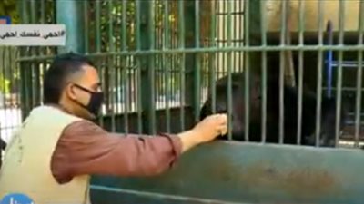 حديقة الجيزة: غياب الزوار أثر في نفسية الحيوانات.. ونعوضهم بأيس كريم (فيديو)