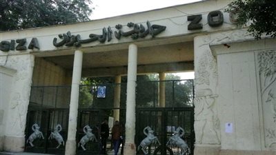 حديقة الحيوان تكشف الإجراءات الاحترازية حال إعادة فتحها (فيديو)