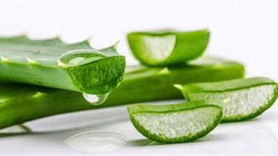 استخدامات مذهلة للصبار للعناية ببشرتك قبل الزفاف