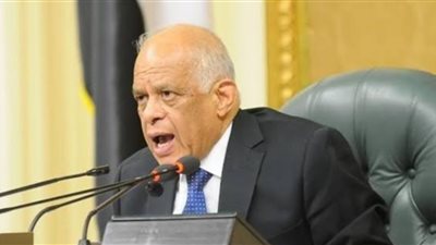 رئيس البرلمان: اعتراضات على نسبة المرأة بمجلس الشيوخ