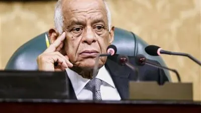 البرلمان يوافق على إضافة انتخاب أعضاء مجلس الشيوخ بمباشرة الحقوق السياسية