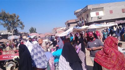 استمرار أعمال فض الأسواق بمراكز وقرى البحيرة (صور)