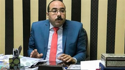 برلماني: الدولة المصرية قوية وقادرة على حماية حياة أبنائها 