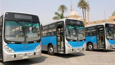 الحكومة تنفي 12 شائعة × 7 أيام