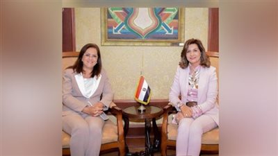 قرار حكومي بشأن المصريين العائدين من الخارج