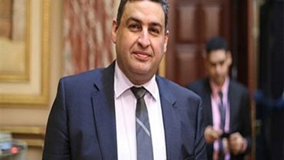 برلماني: حديث السيسي من المنطقة الغربية حظى باهتمام عالمي