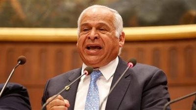 برلماني يشيد بتوفير فرص عمل للمصريين العائدين من ليبيا