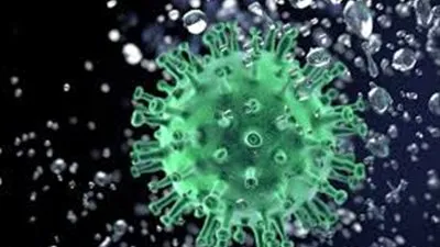 أستاذ أوبئة يفجر مفاجأة عن أدوية فيروس كورونا