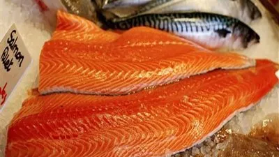 أستاذ مناعة يكشف علاقة السلمون بفيروس كورونا