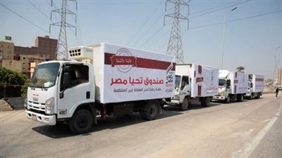 مصدر الإغاثة للبسطاء.. تعرف على جهود صندوق تحيا مصر خلال أزمة كورونا