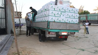 توزيع 500 كرتونة مواد غذائية ومطهرات على الأسر الأكثر احتياجا بالبحيرة (صور)