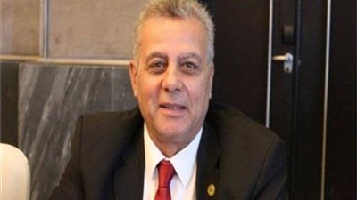 برلماني: مصر قادرة على حماية أمنها القومي من ناحية ليبيا وإثيوبيا