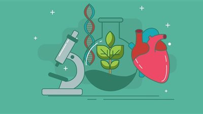 الثانوية العامة 2020| المراجعة النهائية لمادة الأحياء للصف الثالث الثانوي (هذه الأسئلة مهمة ومتوقعة)