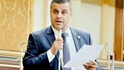 برلماني: ثورة 30 يونيو غيرت مسار الدولة المصرية 