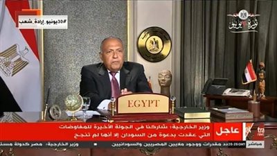 سر التمثال المجاور لوزير الخارجية خلال كلمته بمجلس الأمن