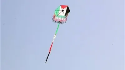 الإفتاء توضح حكم اللعب بالطائرات الورقية.. وتوجه تحذيرا للشباب والأطفال