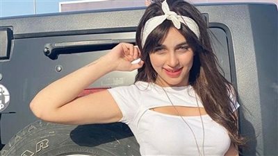 مشاجرة وحبس 3 من أسرتها.. 4 مشاهد صعبة لـ منار سامي بمحكمة كفر شكر