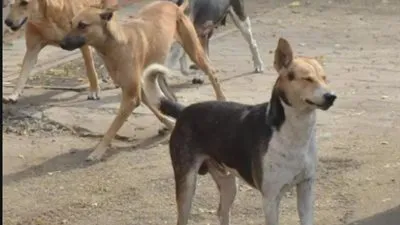 حيلة جديدة للحد من انتشار 