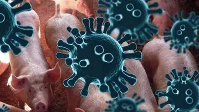 أستاذ علم الفيروسات عن طاعون الصين الجديد: 