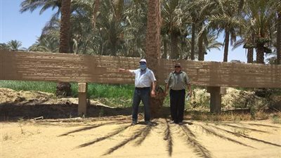 وكيل الزراعة بالفيوم يتفقد بعض المزارع للتأكد من 